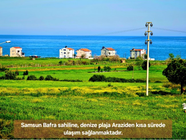 Samsun Bafra Komşupınar'da Denize Köye Yakın 1.143 m2 Çok Uygun Arazi. Açıklamayı Okuyunuz.