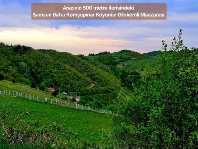 Samsun Bafra Komşupınar'da Denize Köye Yakın 1.143 m2 Çok Uygun Arazi. Açıklamayı Okuyunuz.