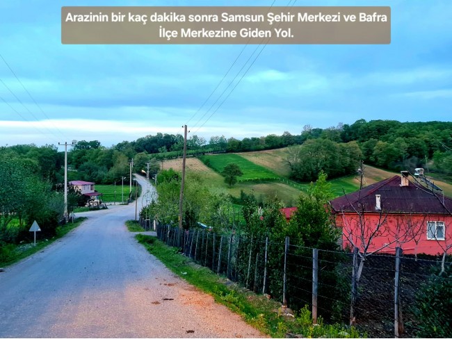 Samsun Bafra Komşupınar'da Denize Köye Yakın 1.143 m2 Çok Uygun Arazi. Açıklamayı Okuyunuz.