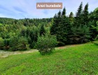 Samsun Bafra Komşupınar'da Denize Köye Yakın 1.143 m2 Çok Uygun Arazi. Açıklamayı Okuyunuz.