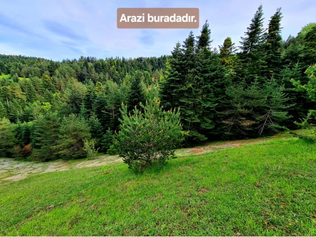 Samsun Bafra Komşupınar'da Denize Köye Yakın 1.143 m2 Çok Uygun Arazi. Açıklamayı Okuyunuz.