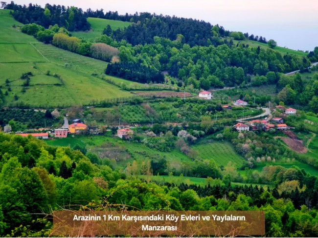 Samsun Bafra Komşupınar'da Denize Köye Yakın 1.143 m2 Çok Uygun Arazi. Açıklamayı Okuyunuz.
