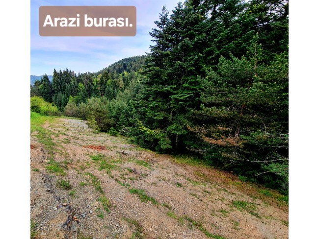 Samsun Bafra Komşupınar'da Denize Köye Yakın 1.143 m2 Çok Uygun Arazi. Açıklamayı Okuyunuz.