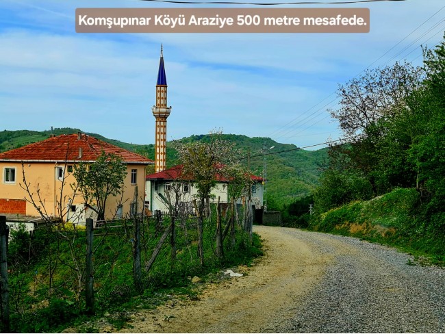 Samsun Bafra Komşupınar'da Denize Köye Yakın 1.143 m2 Çok Uygun Arazi. Açıklamayı Okuyunuz.