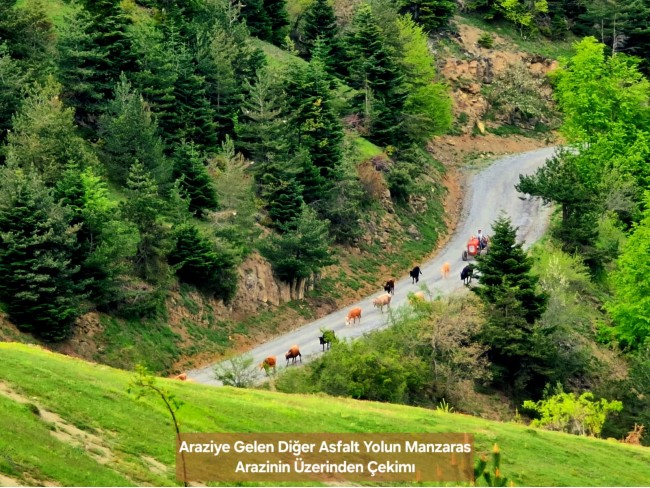 Samsun Bafra Komşupınar'da Denize Köye Yakın 1.143 m2 Çok Uygun Arazi. Açıklamayı Okuyunuz.