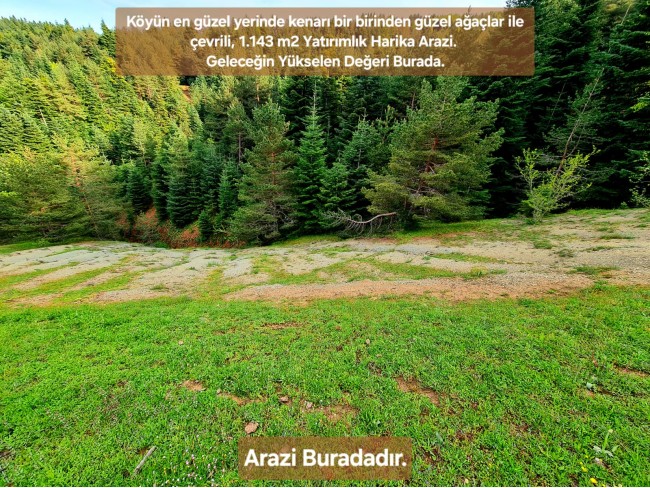 Samsun Bafra Komşupınar'da Denize Köye Yakın 1.143 m2 Çok Uygun Arazi. Açıklamayı Okuyunuz.