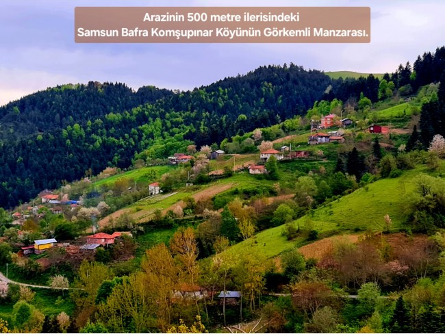 Samsun Bafra Komşupınar'da Denize Köye Yakın 1.143 m2 Çok Uygun Arazi. Açıklamayı Okuyunuz.