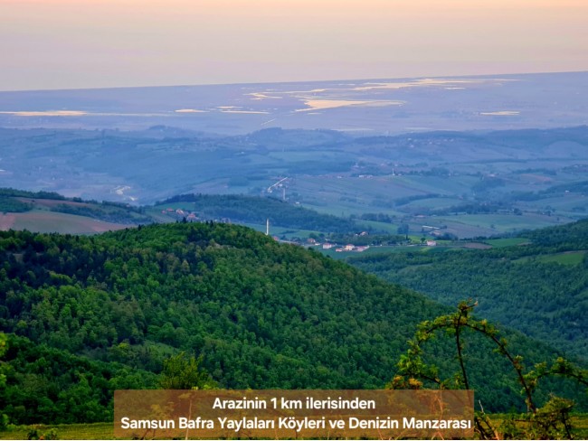 Samsun Bafra Komşupınar'da Denize Köye Yakın 1.143 m2 Çok Uygun Arazi. Açıklamayı Okuyunuz.