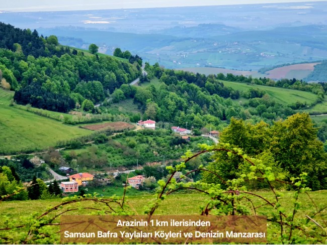 Samsun Bafra Komşupınar'da Denize Köye Yakın 1.143 m2 Çok Uygun Arazi. Açıklamayı Okuyunuz.