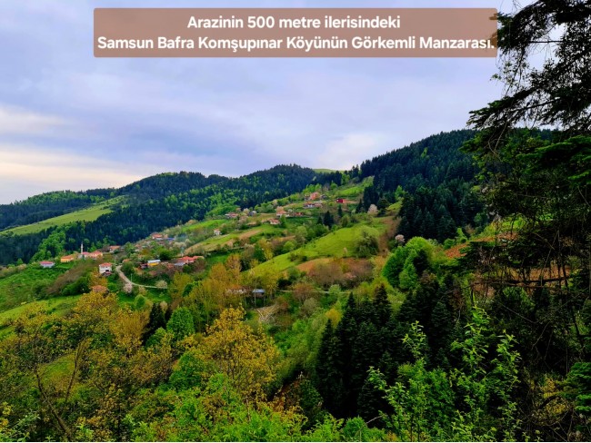 Samsun Bafra Komşupınar'da Denize Köye Yakın 1.143 m2 Çok Uygun Arazi. Açıklamayı Okuyunuz.