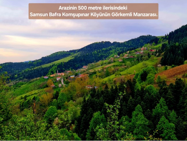 Samsun Bafra Komşupınar'da Denize Köye Yakın 1.143 m2 Çok Uygun Arazi. Açıklamayı Okuyunuz.