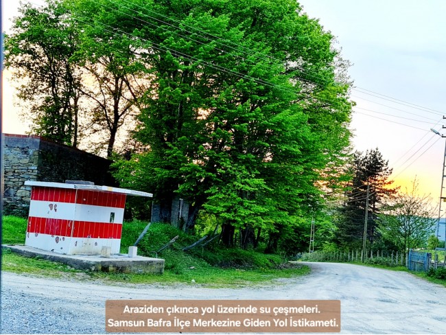 Samsun Bafra Komşupınar'da Denize Köye Yakın 1.143 m2 Çok Uygun Arazi. Açıklamayı Okuyunuz.