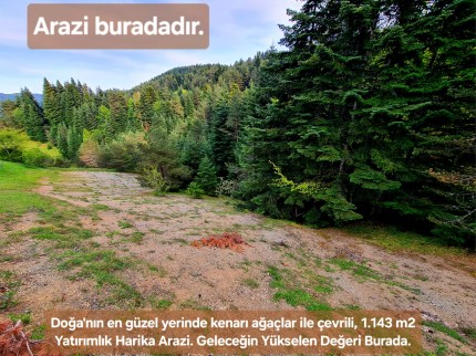 Samsun Bafra Komşupınar'da Denize Köye Yakın 1.143 m2 Çok Uygun Arazi. Açıklamayı Okuyunuz. Samsun Bafra Komşupınar'da Denize Köye Yakın 1.143 m2 Çok Uygun Arazi. Açıklamayı Okuyunuz.