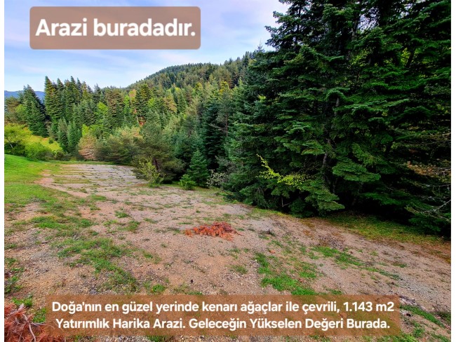 Samsun Bafra Komşupınar'da Denize Köye Yakın 1.143 m2 Çok Uygun Arazi. Açıklamayı Okuyunuz.