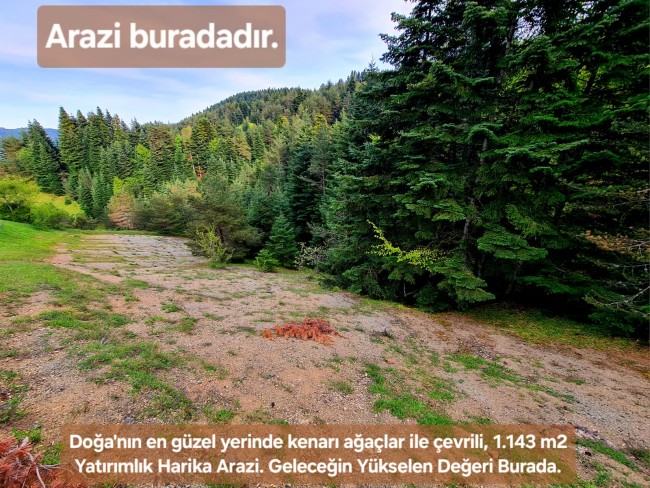 Samsun Bafra Komşupınar'da Denize Köye Yakın 1.143 m2 Çok Uygun Arazi. Açıklamayı Okuyunuz.