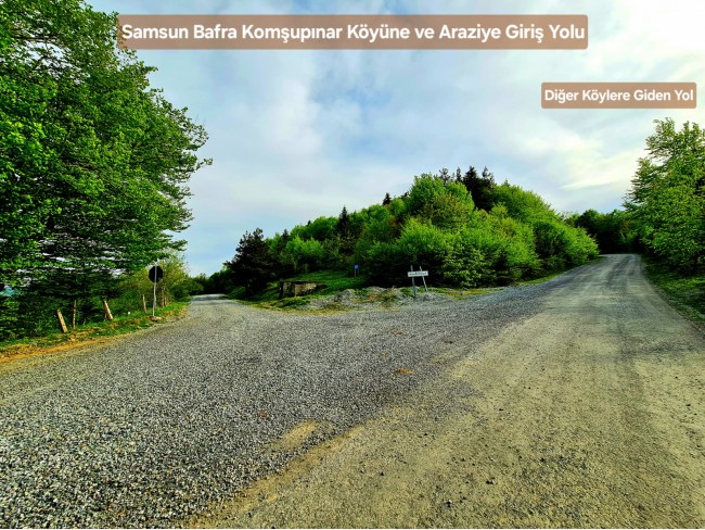 Samsun Bafra Komşupınar'da Denize Köye Yakın 1.143 m2 Çok Uygun Arazi. Açıklamayı Okuyunuz.