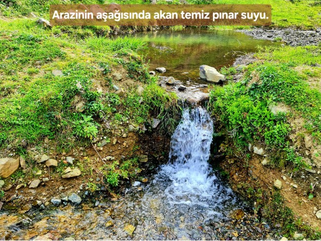 Samsun Bafra Komşupınar'da Denize Köye Yakın 1.143 m2 Çok Uygun Arazi. Açıklamayı Okuyunuz.