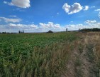 Kütahya Emet Örencik'de 1.463 m2 Köycivarı Manzaralı Çok Uygun Tarla. Açıklamayı Okuyarak Arayınız.