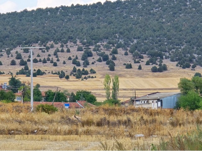 Kütahya Emet Örencik'de 1.463 m2 Köycivarı Manzaralı Çok Uygun Tarla. Açıklamayı Okuyarak Arayınız.