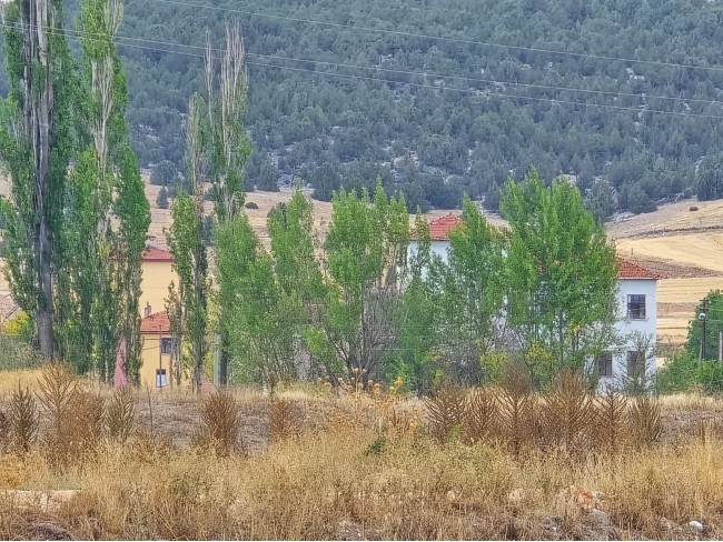 Kütahya Emet Örencik'de 1.463 m2 Köycivarı Manzaralı Çok Uygun Tarla. Açıklamayı Okuyarak Arayınız.