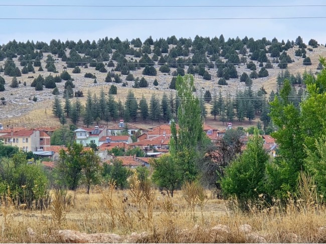 Kütahya Emet Örencik'de 1.463 m2 Köycivarı Manzaralı Çok Uygun Tarla. Açıklamayı Okuyarak Arayınız.