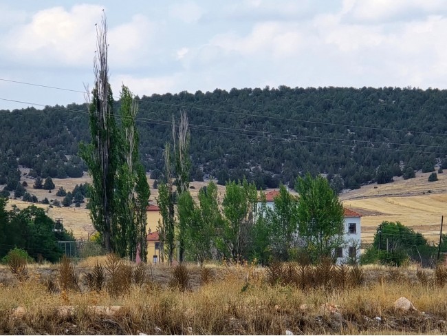 Kütahya Emet Örencik'de 1.463 m2 Köycivarı Manzaralı Çok Uygun Tarla. Açıklamayı Okuyarak Arayınız.