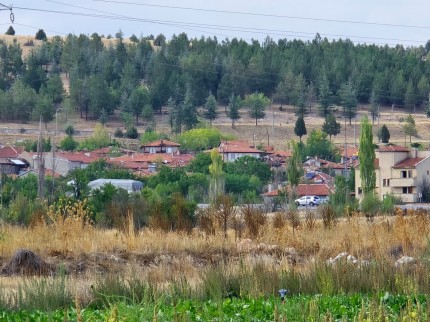 Kütahya Emet Örencik'de 1.463 m2 Köycivarı Manzaralı Çok Uygun Tarla. Açıklamayı Okuyarak Arayınız. Kütahya Emet Örencik'de 1.463 m2 Köycivarı Manzaralı Çok Uygun Tarla. Açıklamayı Okuyarak Arayınız.