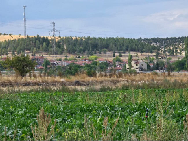 Kütahya Emet Örencik'de 1.463 m2 Köycivarı Manzaralı Çok Uygun Tarla. Açıklamayı Okuyarak Arayınız.