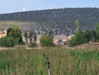 Kütahya Emet Örencik'de 1.463 m2 Köycivarı Manzaralı Çok Uygun Tarla. Açıklamayı Okuyarak Arayınız.