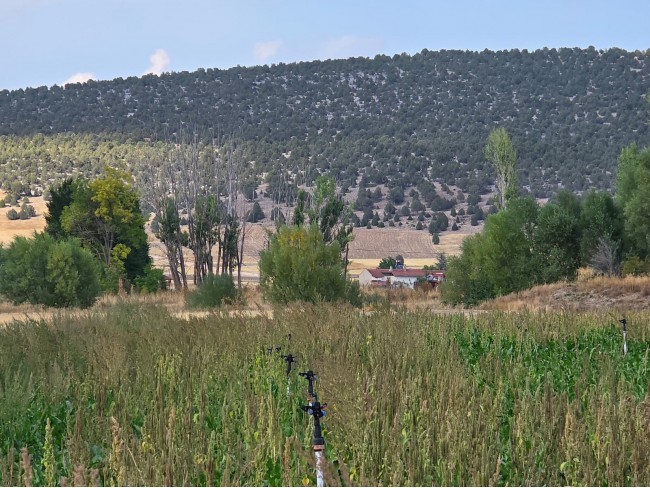 Kütahya Emet Örencik'de 1.463 m2 Köycivarı Manzaralı Çok Uygun Tarla. Açıklamayı Okuyarak Arayınız.