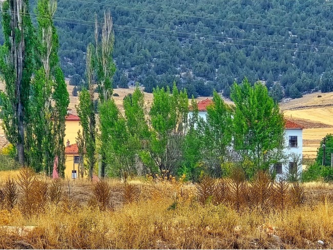 Kütahya Emet Örencik'de Köycivarı Otoyol Yanı 1.463 m2 Bakımlı Tarla. Açıklamayı Okuyarak Arayınız. Kütahya Emet Örencik'de Köycivarı Otoyol Yanı 1.463 m2 Bakımlı Tarla. Açıklamayı Okuyarak Arayınız.