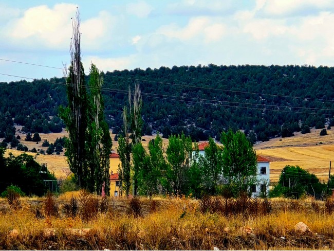 Kütahya Emet Örencik'de Köycivarı Otoyol Yanı 1.463 m2 Bakımlı Tarla. Açıklamayı Okuyarak Arayınız. Kütahya Emet Örencik'de Köycivarı Otoyol Yanı 1.463 m2 Bakımlı Tarla. Açıklamayı Okuyarak Arayınız.