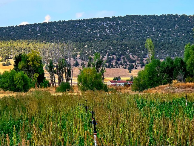 Kütahya Emet Örencik'de Köycivarı Otoyol Yanı 1.463 m2 Bakımlı Tarla. Açıklamayı Okuyarak Arayınız. Kütahya Emet Örencik'de Köycivarı Otoyol Yanı 1.463 m2 Bakımlı Tarla. Açıklamayı Okuyarak Arayınız.