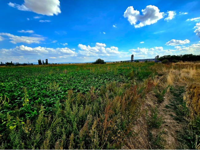 Kütahya Emet Örencik'de Köycivarı Otoyol Yanı 1.463 m2 Bakımlı Tarla. Açıklamayı Okuyarak Arayınız. Kütahya Emet Örencik'de Köycivarı Otoyol Yanı 1.463 m2 Bakımlı Tarla. Açıklamayı Okuyarak Arayınız.
