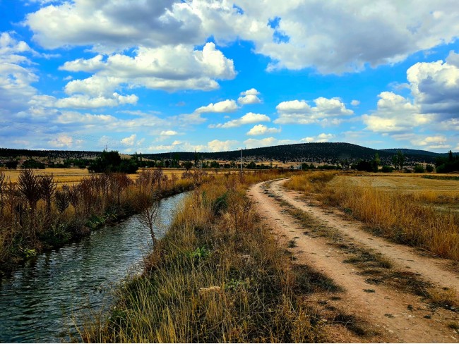 Kütahya Emet Örencik'de Köycivarı Otoyol Yanı 1.463 m2 Bakımlı Tarla. Açıklamayı Okuyarak Arayınız. Kütahya Emet Örencik'de Köycivarı Otoyol Yanı 1.463 m2 Bakımlı Tarla. Açıklamayı Okuyarak Arayınız.