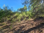 Balıkesir Dursunbey Alagüney'de 2.870 m2 Resmi Yollu Çok Uygun Tarla. Açıklamayı Okuyarak Arayınız.