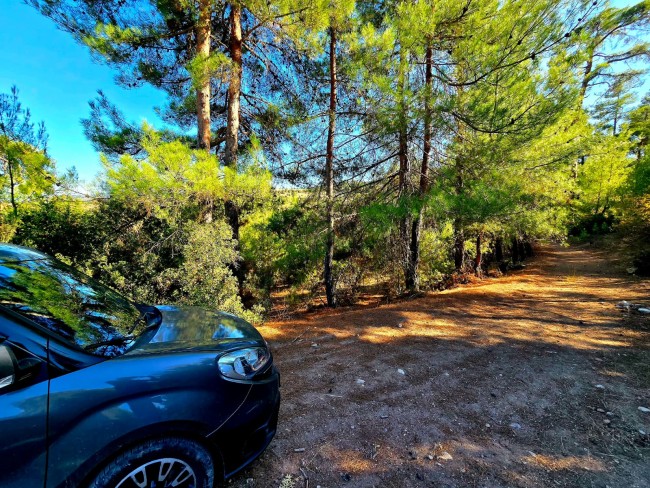 Balıkesir Dursunbey Alagüney'de 2.870 m2 Resmi Yollu Çok Uygun Tarla. Açıklamayı Okuyarak Arayınız.