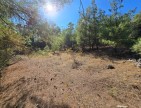 Balıkesir Dursunbey Alagüney'de 2.870 m2 Resmi Yollu Çok Uygun Tarla. Açıklamayı Okuyarak Arayınız.
