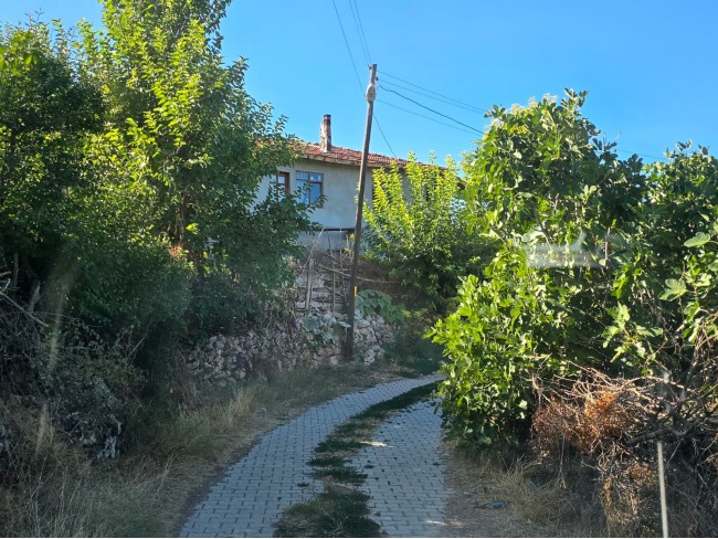 Balıkesir Dursunbey Alagüney'de 2.870 m2 Resmi Yollu Çok Uygun Tarla. Açıklamayı Okuyarak Arayınız.