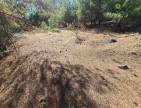 Balıkesir Dursunbey Alagüney'de 2.870 m2 Resmi Yollu Çok Uygun Tarla. Açıklamayı Okuyarak Arayınız.