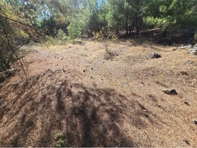 Balıkesir Dursunbey Alagüney'de 2.870 m2 Resmi Yollu Çok Uygun Tarla. Açıklamayı Okuyarak Arayınız.