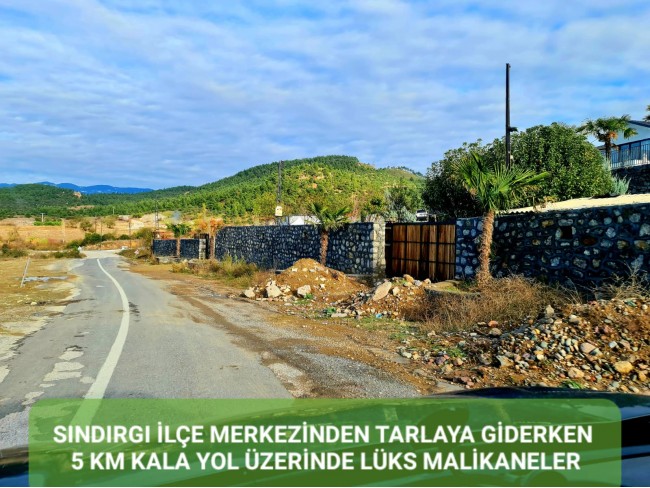 Balıkesir Sındırgı Osmanlar'da 1.440 m2 Asfalt Yola Cepheli Tarla. Açıklamayı Okuyarak Arayınız.