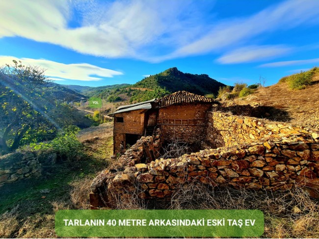 Balıkesir Sındırgı Osmanlar'da 1.440 m2 Asfalt Yola Cepheli Tarla. Açıklamayı Okuyarak Arayınız.