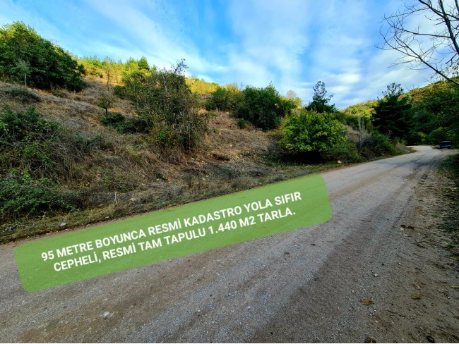 Balıkesir Sındırgı Osmanlar'da 1.440 m2 Asfalt Yola Cepheli Tarla. Açıklamayı Okuyarak Arayınız.