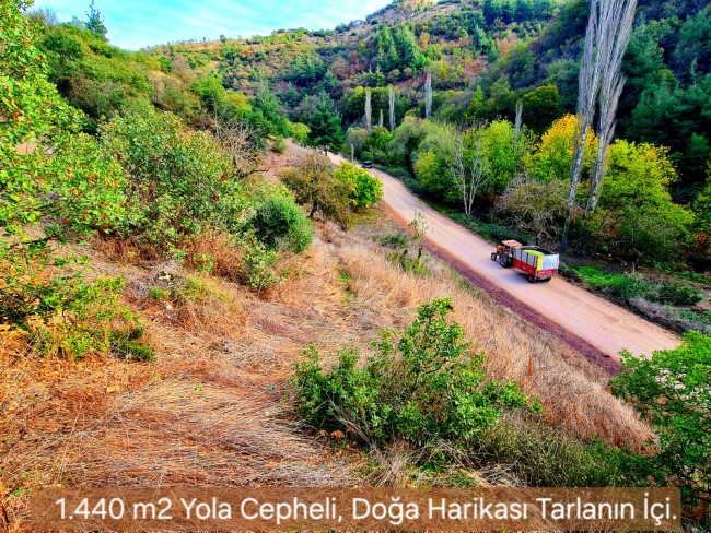 Balıkesir Sındırgı Osmanlar'da 1.440 m2 Asfalt Yola Cepheli Tarla. Açıklamayı Okuyarak Arayınız.