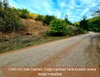 Balıkesir Sındırgı Osmanlar'da 1.440 m2 Asfalt Yola Cepheli Tarla. Açıklamayı Okuyarak Arayınız.