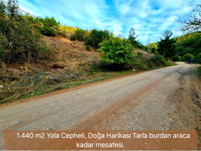Balıkesir Sındırgı Osmanlar'da 1.440 m2 Asfalt Yola Cepheli Tarla. Açıklamayı Okuyarak Arayınız.