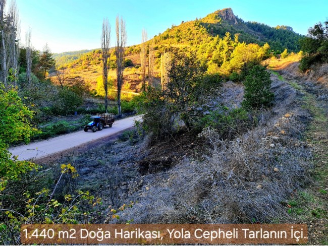 Balıkesir Sındırgı Osmanlar'da 1.440 m2 Asfalt Yola Cepheli Tarla. Açıklamayı Okuyarak Arayınız.