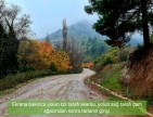Balıkesir Sındırgı Osmanlar'da 1.440 m2 Asfalt Yola Cepheli Tarla. Açıklamayı Okuyarak Arayınız.
