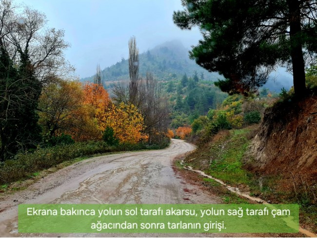 Balıkesir Sındırgı Osmanlar'da 1.440 m2 Asfalt Yola Cepheli Tarla. Açıklamayı Okuyarak Arayınız.